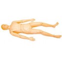 Mannequin Extri Kelly Mannequin Extri Kelly