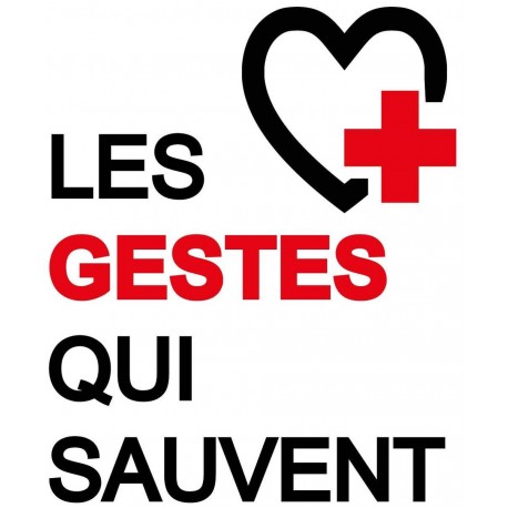 Mini Anne plus +  (x10) GESTES QUI...