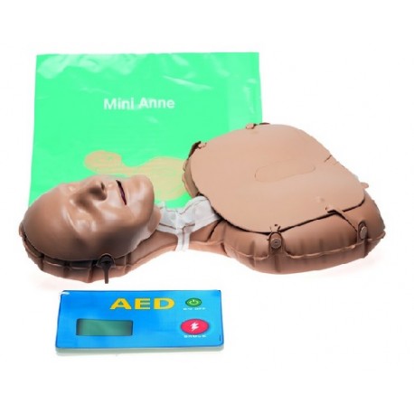 MiniAnne  (carton de 10)