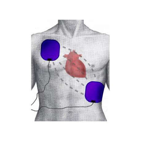 Adaptateur externe DAE pour mannequin