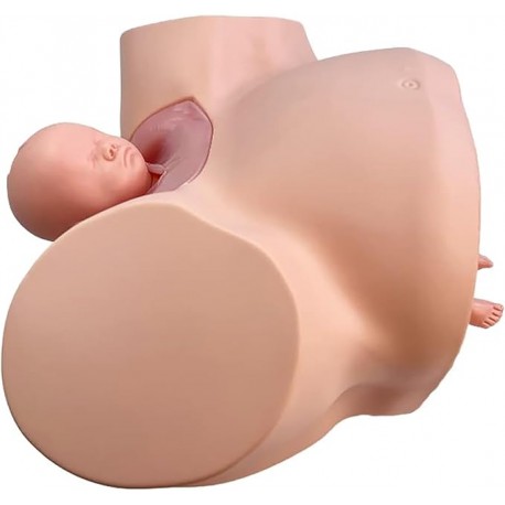 FOR941 - Mannequin de démonstration...