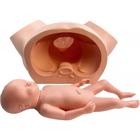 FOR941 - Mannequin de démonstration...