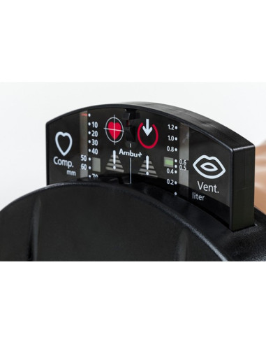 MANNEQUIN AMBUMAN TORSE