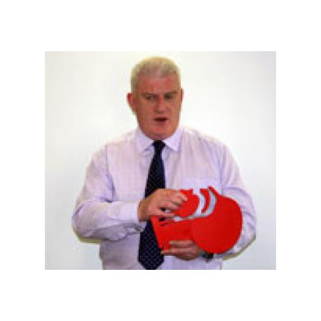 Modéle de tête en coupe