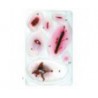 Assortiment Blessures No2 LAERDAL
