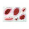 Assortiment Blessures No5 LAERDAL