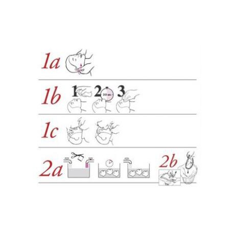 Masques de visage Little Anne Noire (x6)