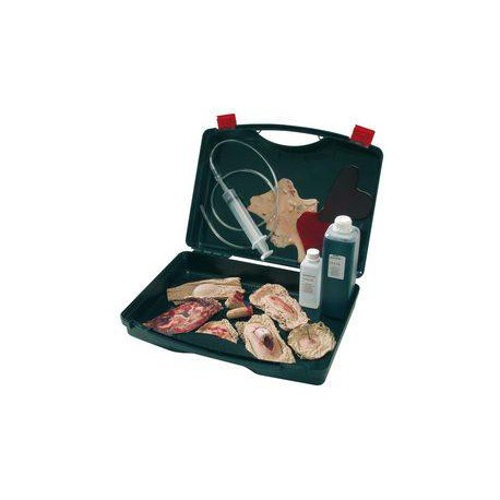Mallette kit 7 fausses plaies pour formation SST-PSC1